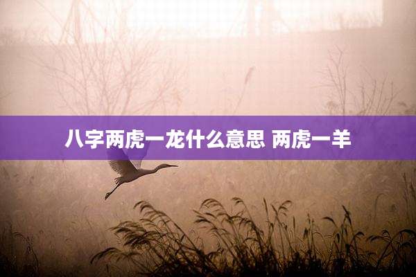 八字两虎一龙什么意思 两虎一羊