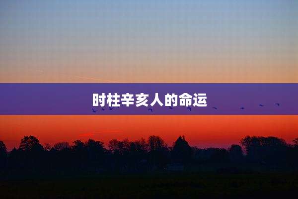 时柱辛亥人的命运