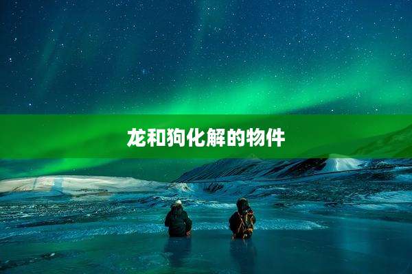 龙和狗化解的物件