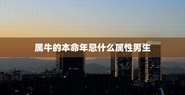 属牛的本命年忌什么属性男生