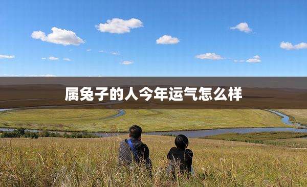 属兔子的人今年运气怎么样