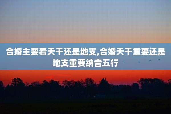 合婚主要看天干还是地支,合婚天干重要还是地支重要纳音五行