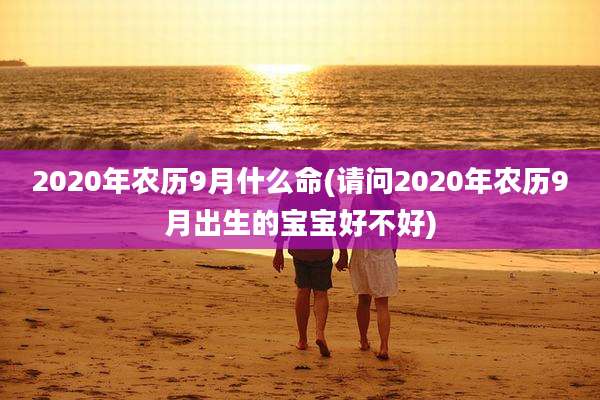 2020年农历9月什么命(请问2020年农历9月出生的宝宝好不好)