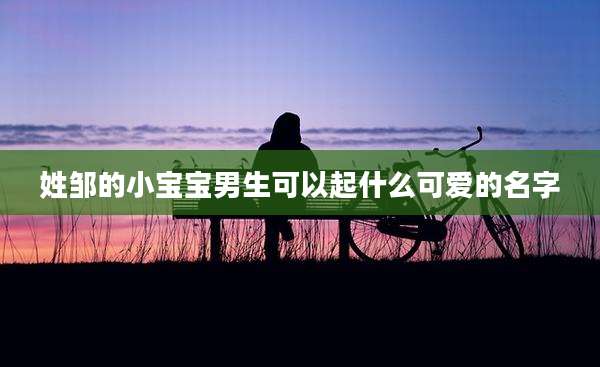 姓邹的小宝宝男生可以起什么可爱的名字
