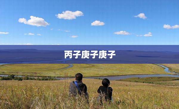 丙子庚子庚子