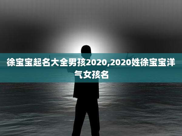 徐宝宝起名大全男孩2020,2020姓徐宝宝洋气女孩名
