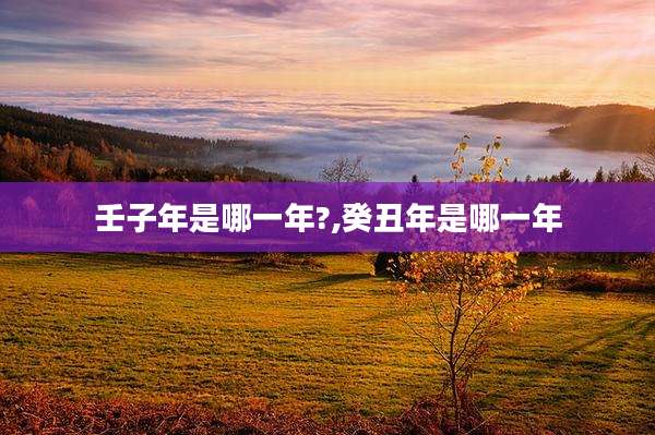 壬子年是哪一年?,癸丑年是哪一年