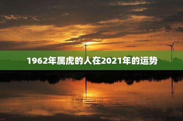 1962年属虎的人在2021年的运势