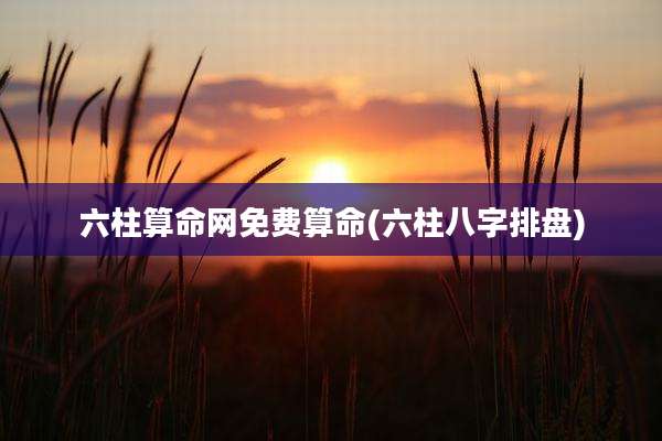 六柱算命网免费算命(六柱八字排盘)