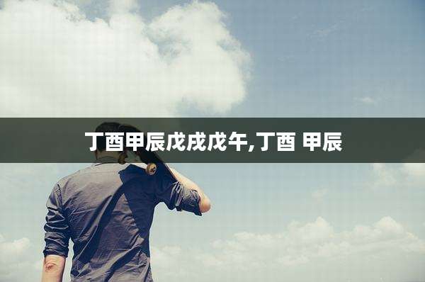 丁酉甲辰戊戌戊午,丁酉 甲辰