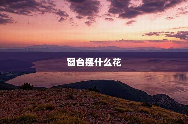 窗台摆什么花