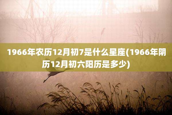 1966年农历12月初7是什么星座(1966年阴历12月初六阳历是多少)