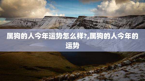 属狗的人今年运势怎么样?,属狗的人今年的运势