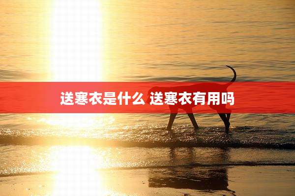 送寒衣是什么 送寒衣有用吗