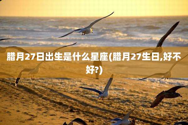 腊月27日出生是什么星座(腊月27生日,好不好?)