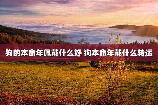 狗的本命年佩戴什么好 狗本命年戴什么转运