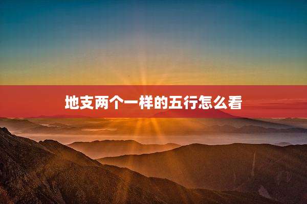 地支两个一样的五行怎么看