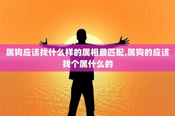 属狗应该找什么样的属相最匹配,属狗的应该找个属什么的