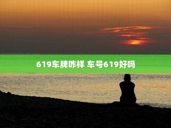 619车牌咋样 车号619好吗