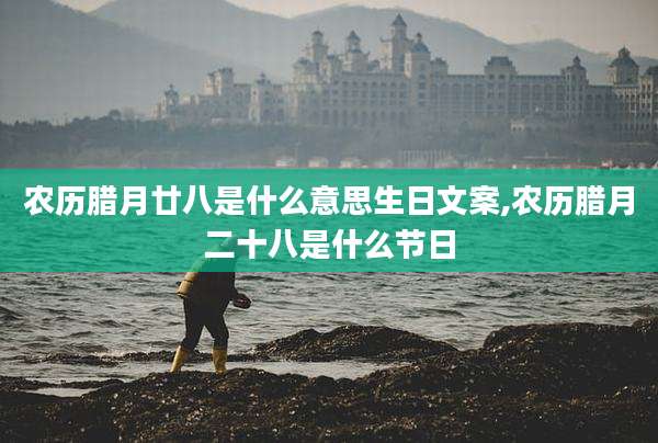 农历腊月廿八是什么意思生日文案,农历腊月二十八是什么节日