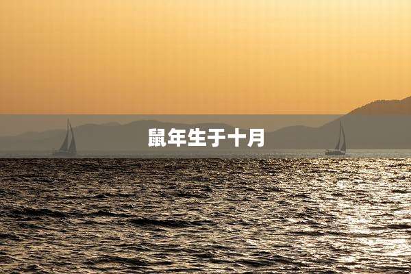 鼠年生于十月