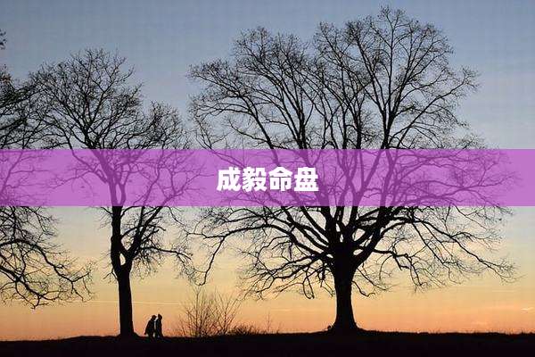 成毅命盘