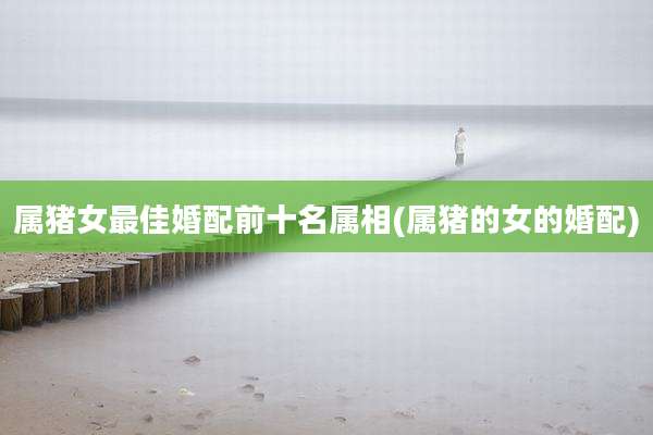 属猪女最佳婚配前十名属相(属猪的女的婚配)