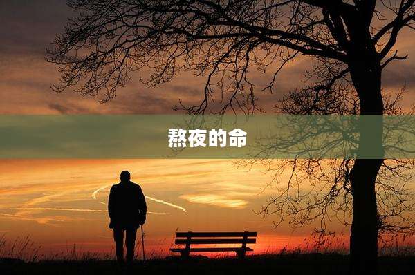 熬夜的命