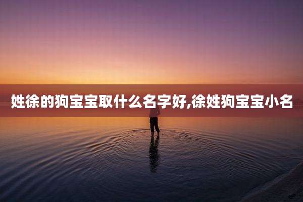 姓徐的狗宝宝取什么名字好,徐姓狗宝宝小名