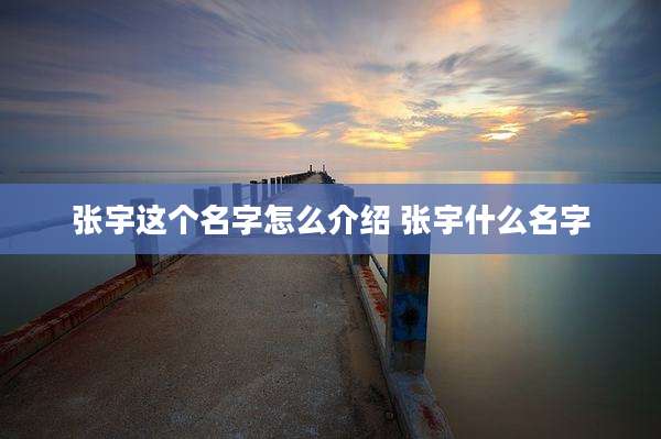 张宇这个名字怎么介绍 张宇什么名字