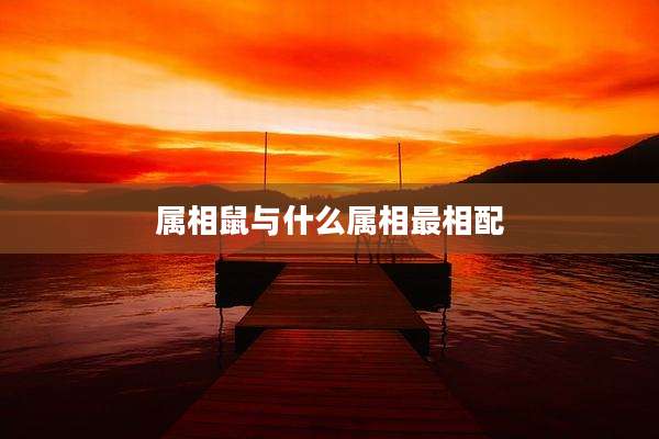 属相鼠与什么属相最相配
