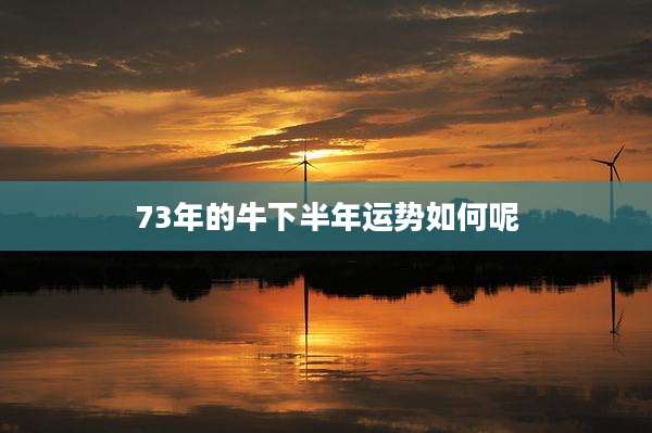 73年的牛下半年运势如何呢