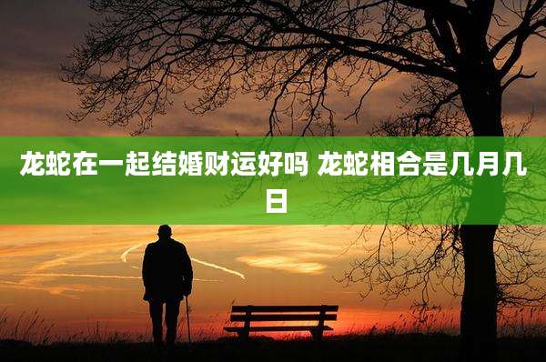 龙蛇在一起结婚财运好吗 龙蛇相合是几月几日