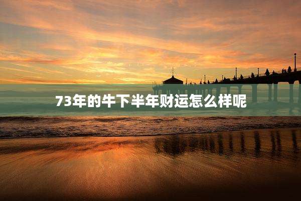 73年的牛下半年财运怎么样呢