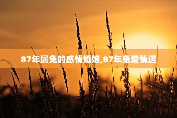 87年属兔的感情婚姻,87年兔爱情运