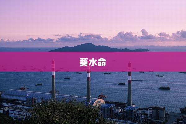 葵水命