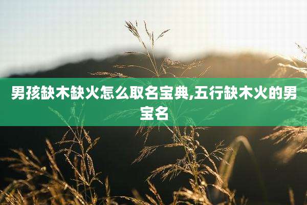 男孩缺木缺火怎么取名宝典,五行缺木火的男宝名