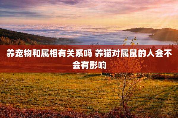 养宠物和属相有关系吗 养猫对属鼠的人会不会有影响
