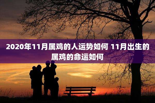2020年11月属鸡的人运势如何 11月出生的属鸡的命运如何