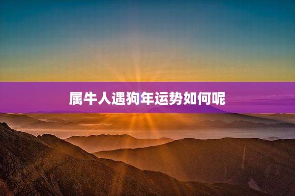 属牛人遇狗年运势如何呢