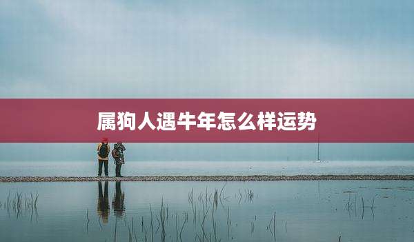 属狗人遇牛年怎么样运势