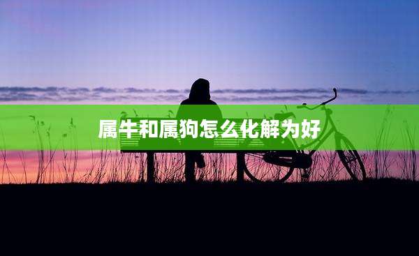 属牛和属狗怎么化解为好