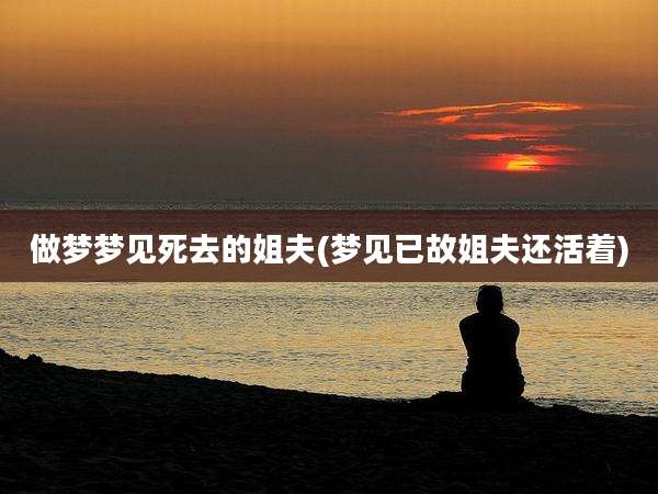 做梦梦见死去的姐夫(梦见已故姐夫还活着)