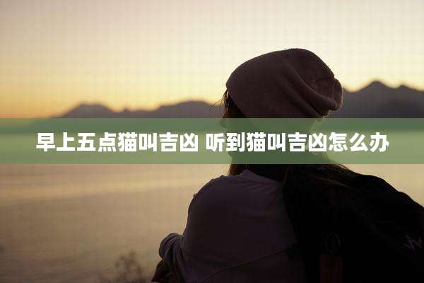 早上五点猫叫吉凶 听到猫叫吉凶怎么办