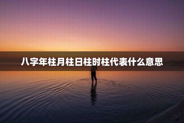 八字年柱月柱日柱时柱代表什么意思