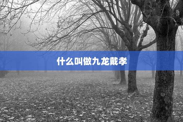什么叫做九龙戴孝