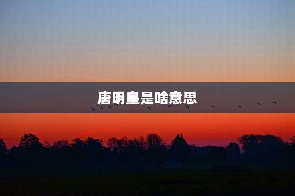 唐明皇是啥意思
