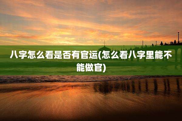 八字怎么看是否有官运(怎么看八字里能不能做官)