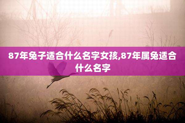 87年兔子适合什么名字女孩,87年属兔适合什么名字