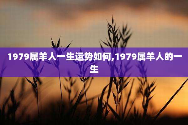 1979属羊人一生运势如何,1979属羊人的一生